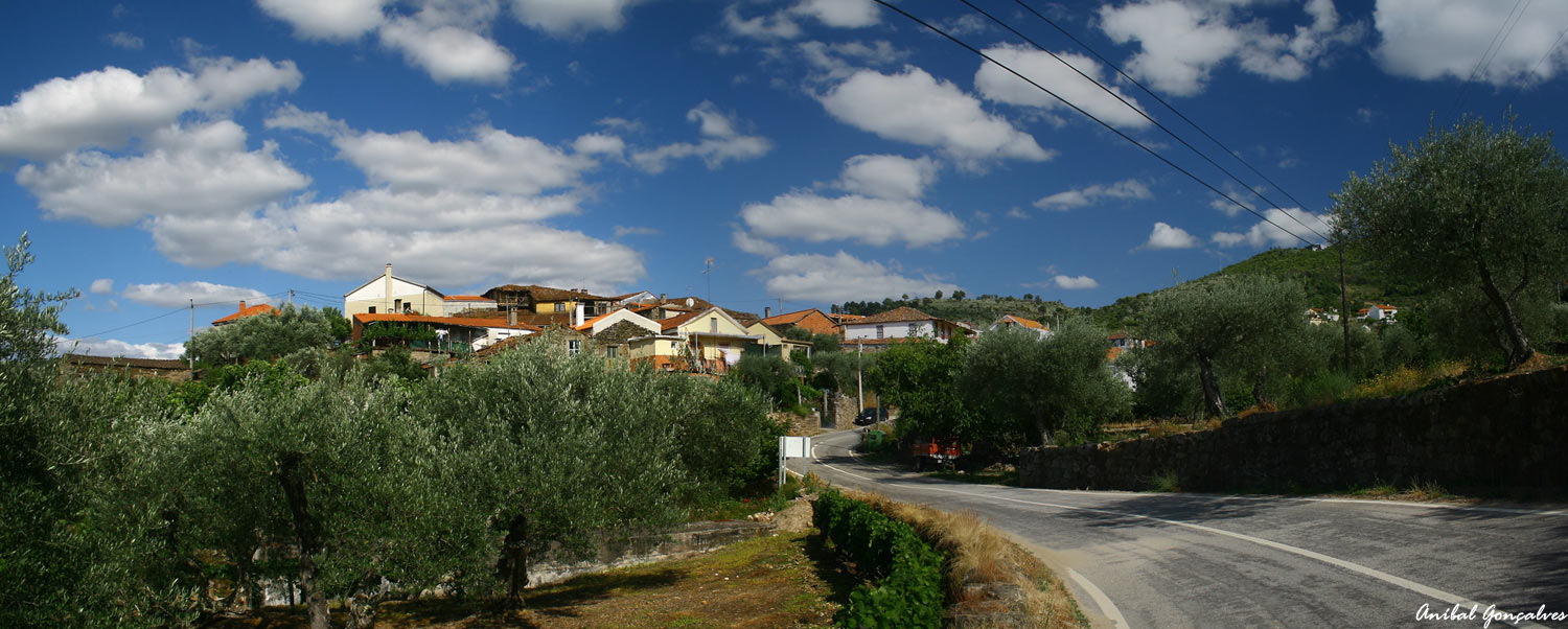 [Paradela06.jpg]