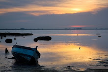 LA MAR CON SU BELLEZA