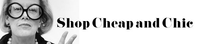 Shop Cheap and Chic