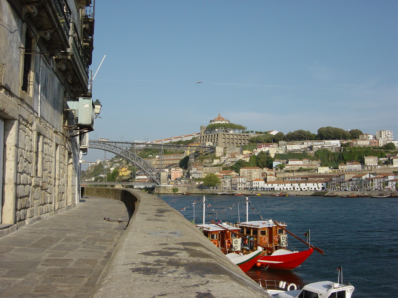 [DSC00070.JPG]