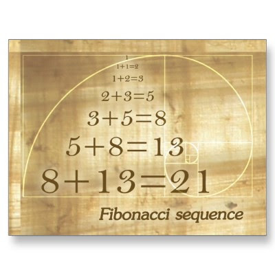 C Program For Fibonacci Series - Sample Example C Program For Fibonacci Series - Sample Example
