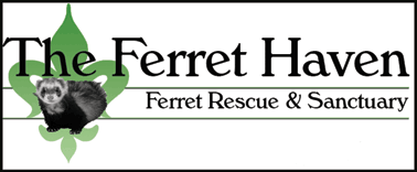 The Ferret Haven