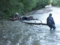 Tree for barrage[collect water for mill]