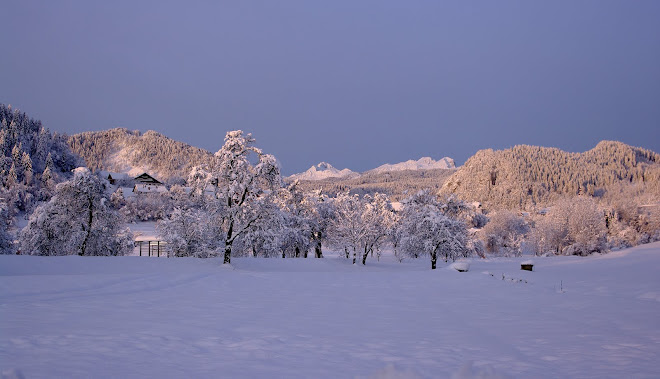 village Poljšica and mountain Triglav behind