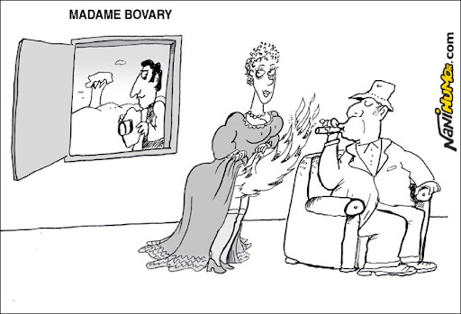 Poço de Cultura. madame bovary