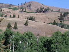 A Hill in South-Central Montana