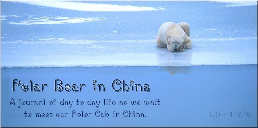 Polar Bear in China