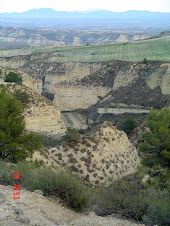 Cortes de Baza