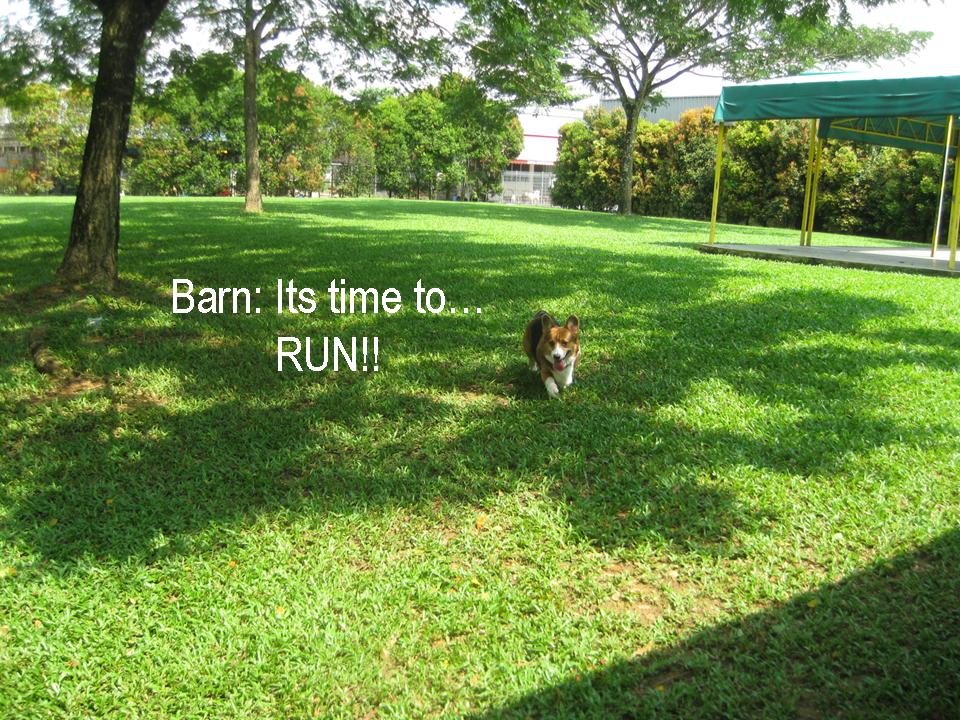 [Slide24.JPG]