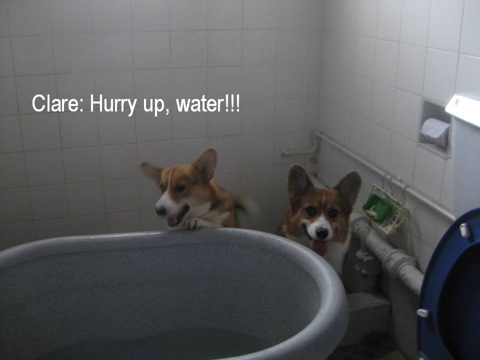 [Slide9.JPG]