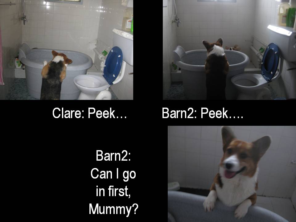 [Slide7.JPG]