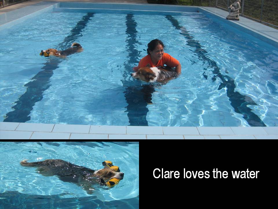 [Slide4.JPG]