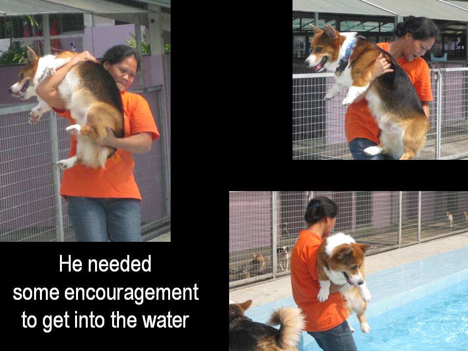 [Slide3.JPG]