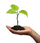  Integrity In Ethical Practice