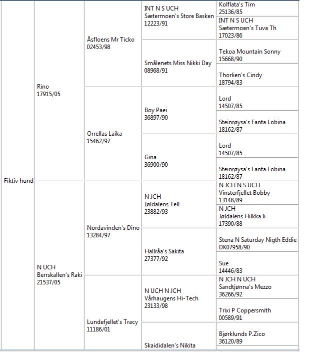Fiktiv stamtavle Raki og Rino våren/sommeren 2010