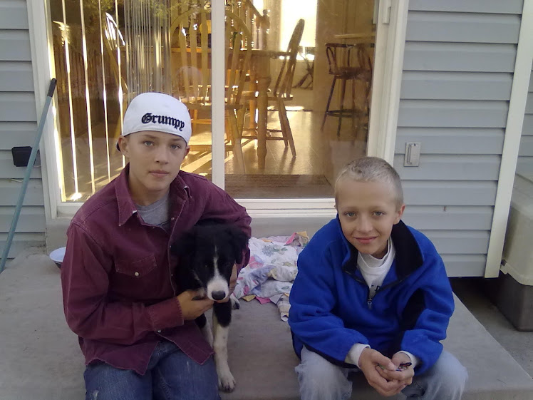 The boys and new dog