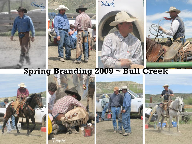 Bull Creek Branding