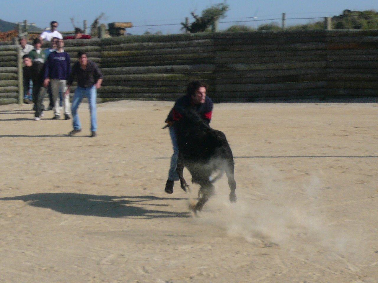 [P1040809.JPG]