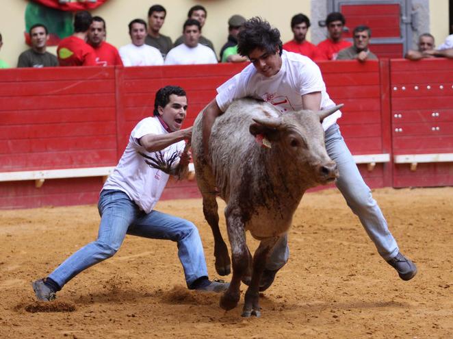 [cernelhas+4.jpg]