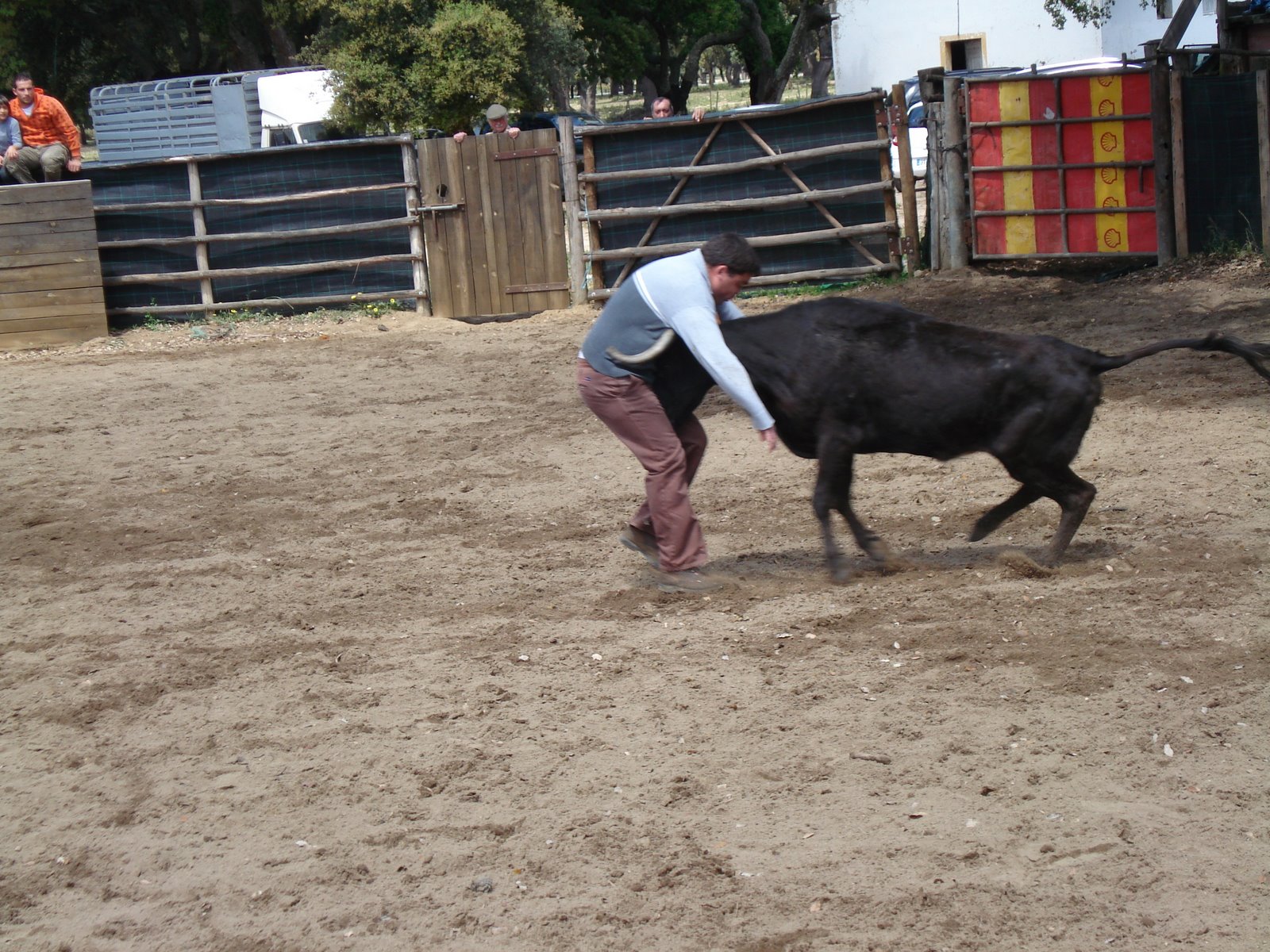 [DSC01740.JPG]