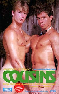 straight porn for gay