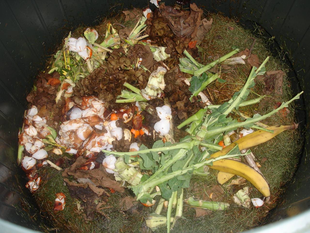 [compostor2.jpg]