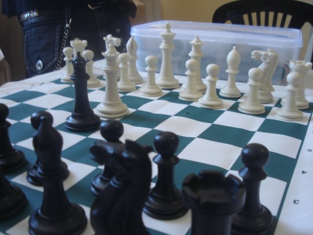 Alvo de disputas, xadrez de capivaras criado em MS é vendido por quase R$ 4  mil: 'achei barato
