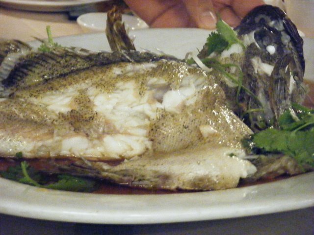 [Steamed+Seabass.JPG]