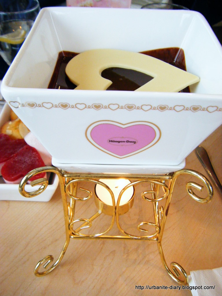 [Haagen+Dazs+Chocolate+Fondue.JPG]