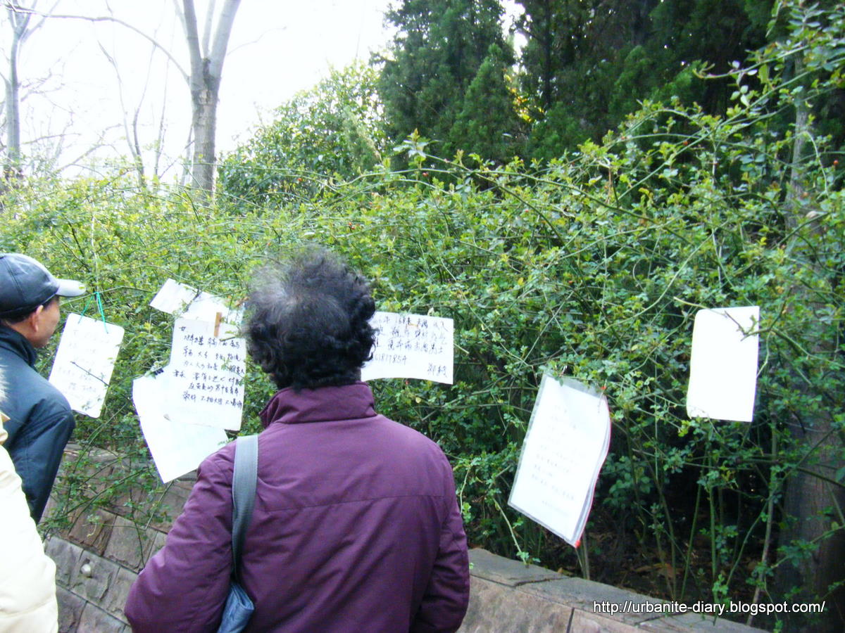 [DSCF8104.JPG]