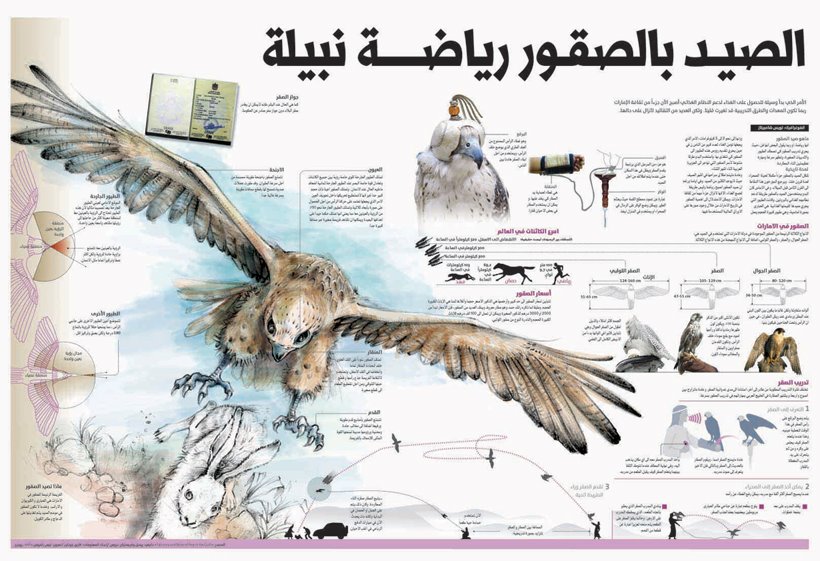 [FALCONRYFINAL--ARABIC.jpg]