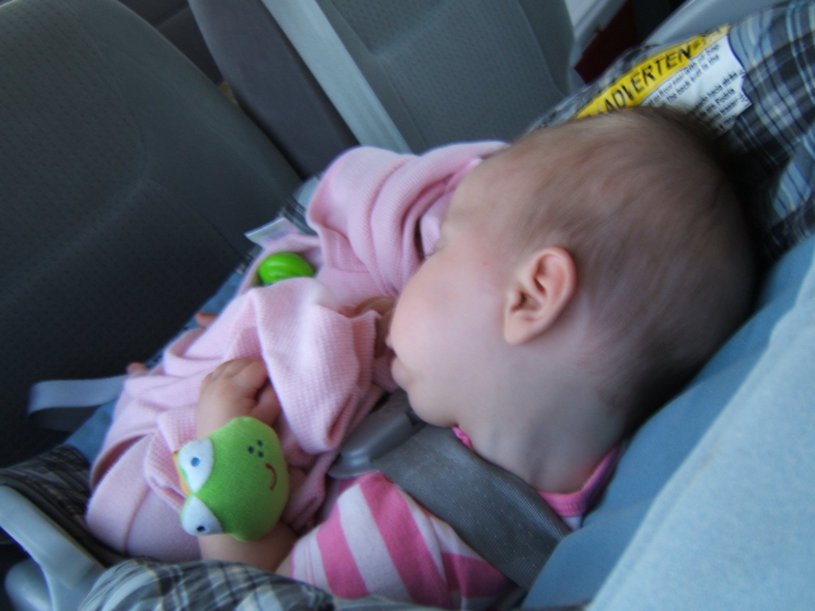 [DSCF3473.JPG]