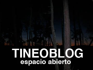 TINEOBLOG