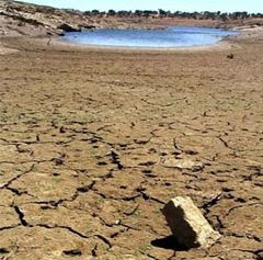 Alerta » 70% do planeta pode sofrer com secas em 2025