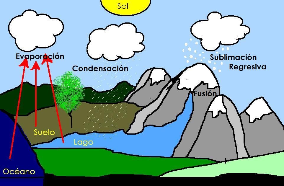 Ciclos de la naturaleza: Ciclo del Agua