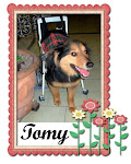 TOMMY EN SU GRAN HOGAR