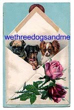 wethreedogsandme