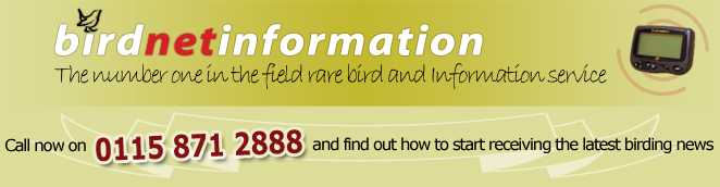 Birdnet Information Blog