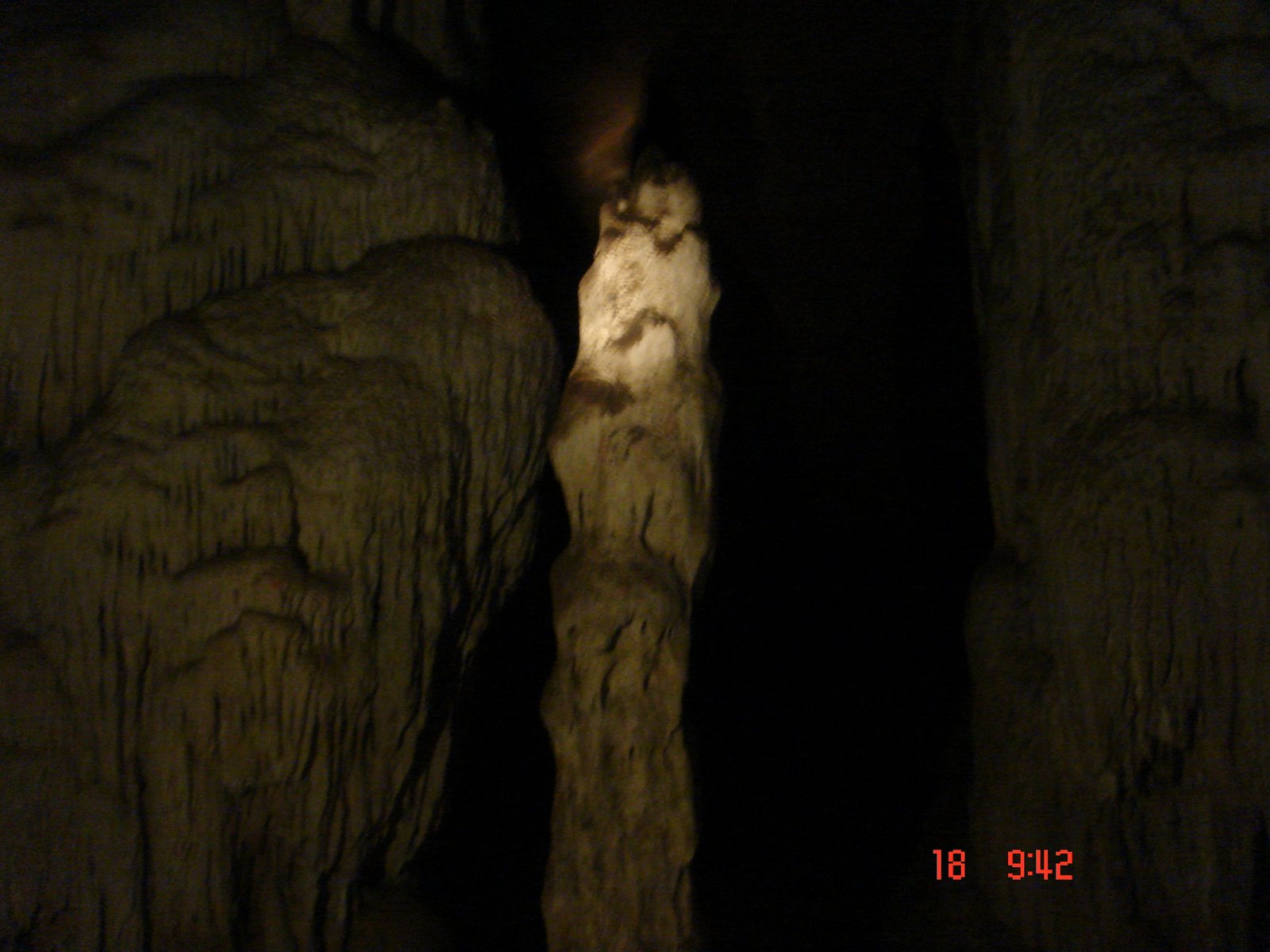 [DSC01048.JPG]
