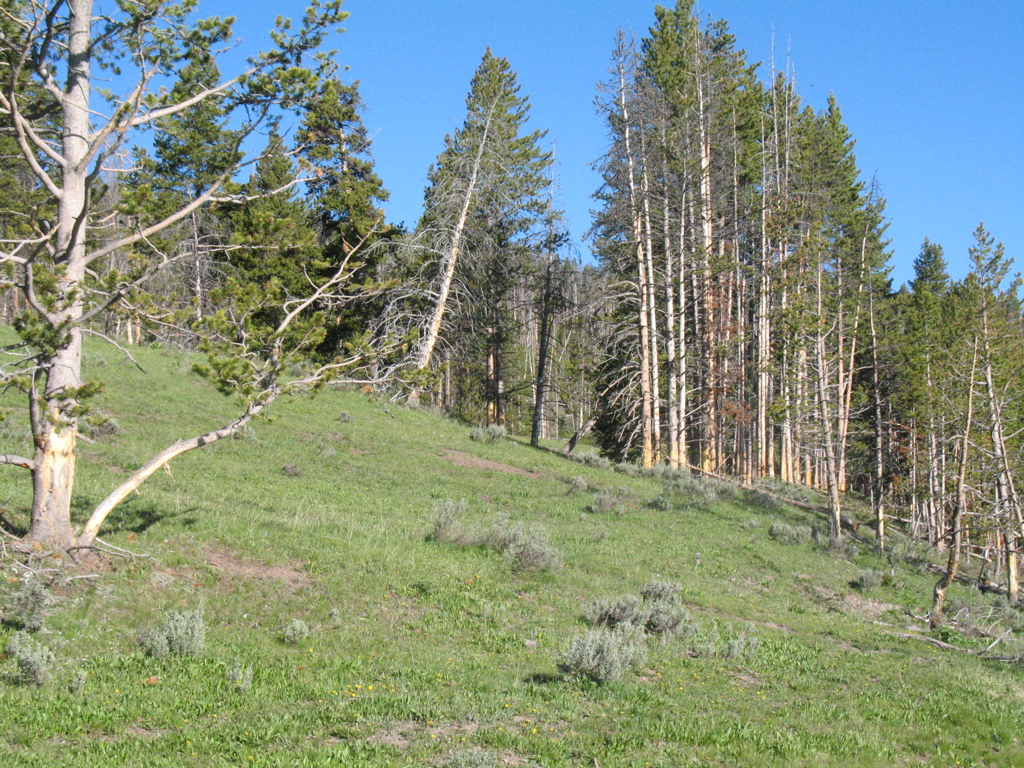 [IMG_0595.jpg]