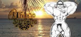El Blog Que Thiago