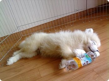 [4cef28f1dc3af984a50f5205.jpg]