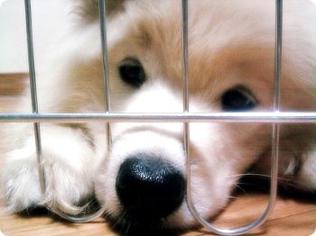 [5e01a702ae7375a3d53f7c3b.jpg]