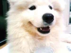 [1c3762dafcc0f14dd1164e02.jpg]