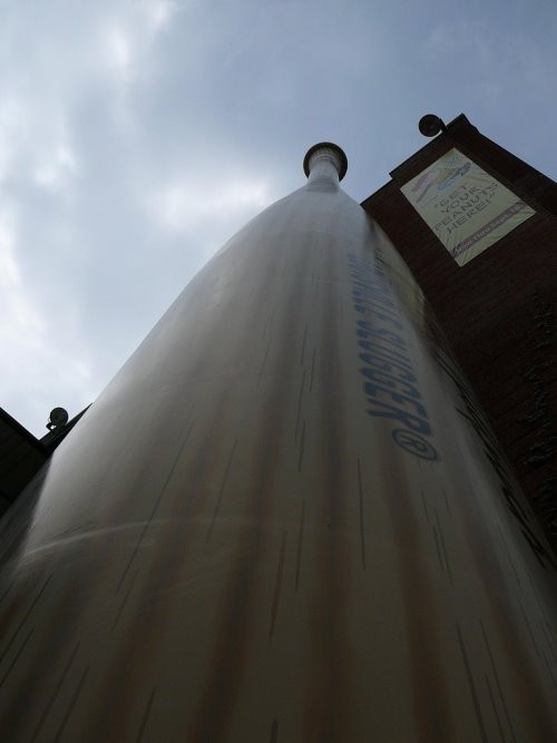 Dollar Chauhan Largest Baseball Bat In The World