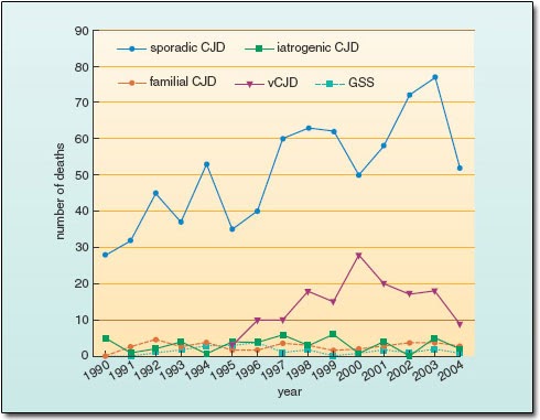 74 Year Old Woman Presents With Rapidly Deteriorating Mental