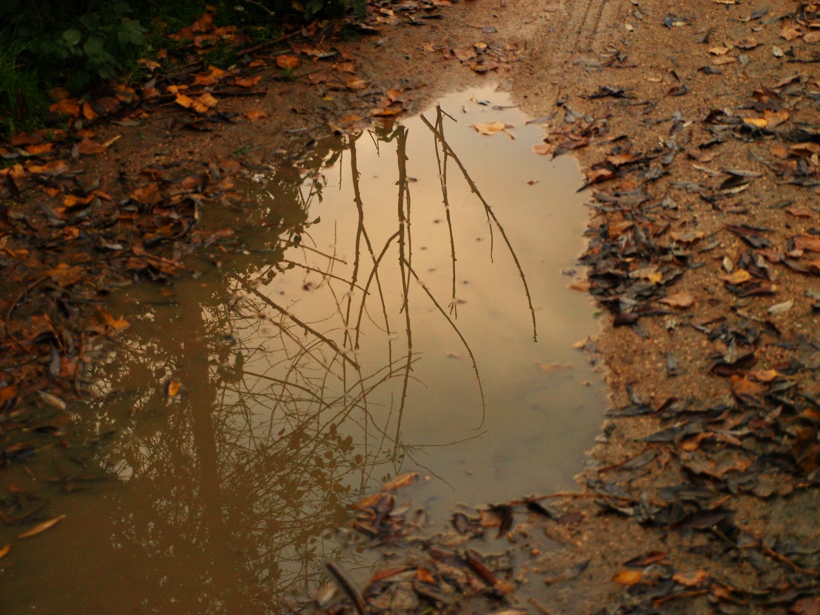 Resultado de imagen de CHARCO DE AGUA