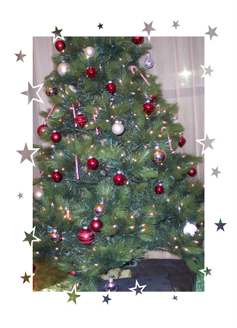 wir hatten auch einen Weihnachtsbaum am avut si un pom de Craciun