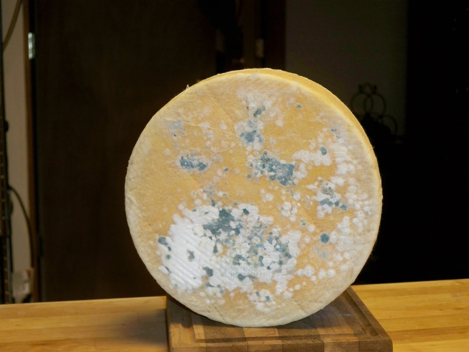 Large Format Cheddar