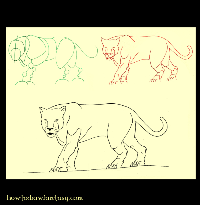 comment dessiner animaux